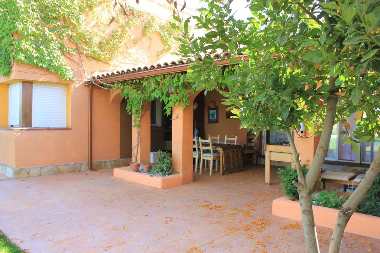 Finca Paredes Valdetorres de Jarama ภายนอก รูปภาพ