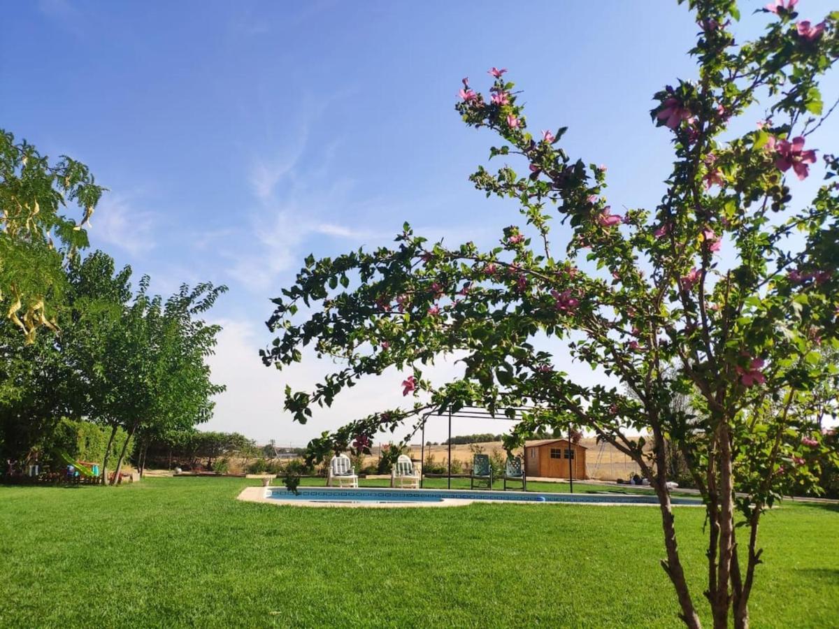 Finca Paredes Valdetorres de Jarama ภายนอก รูปภาพ
