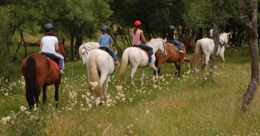Finca Paredes Valdetorres de Jarama ภายนอก รูปภาพ
